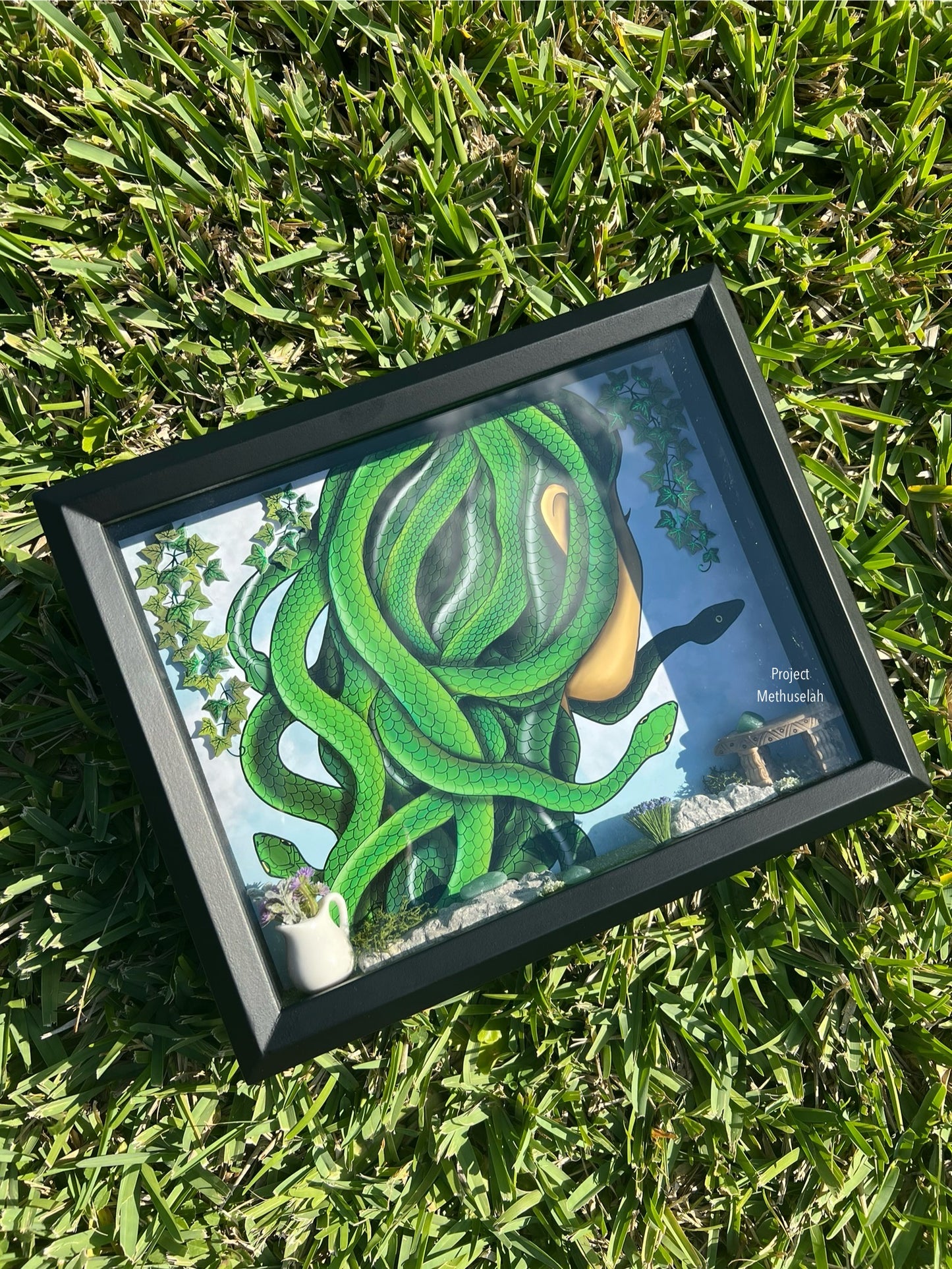 Medusa's Garden Shadow Box