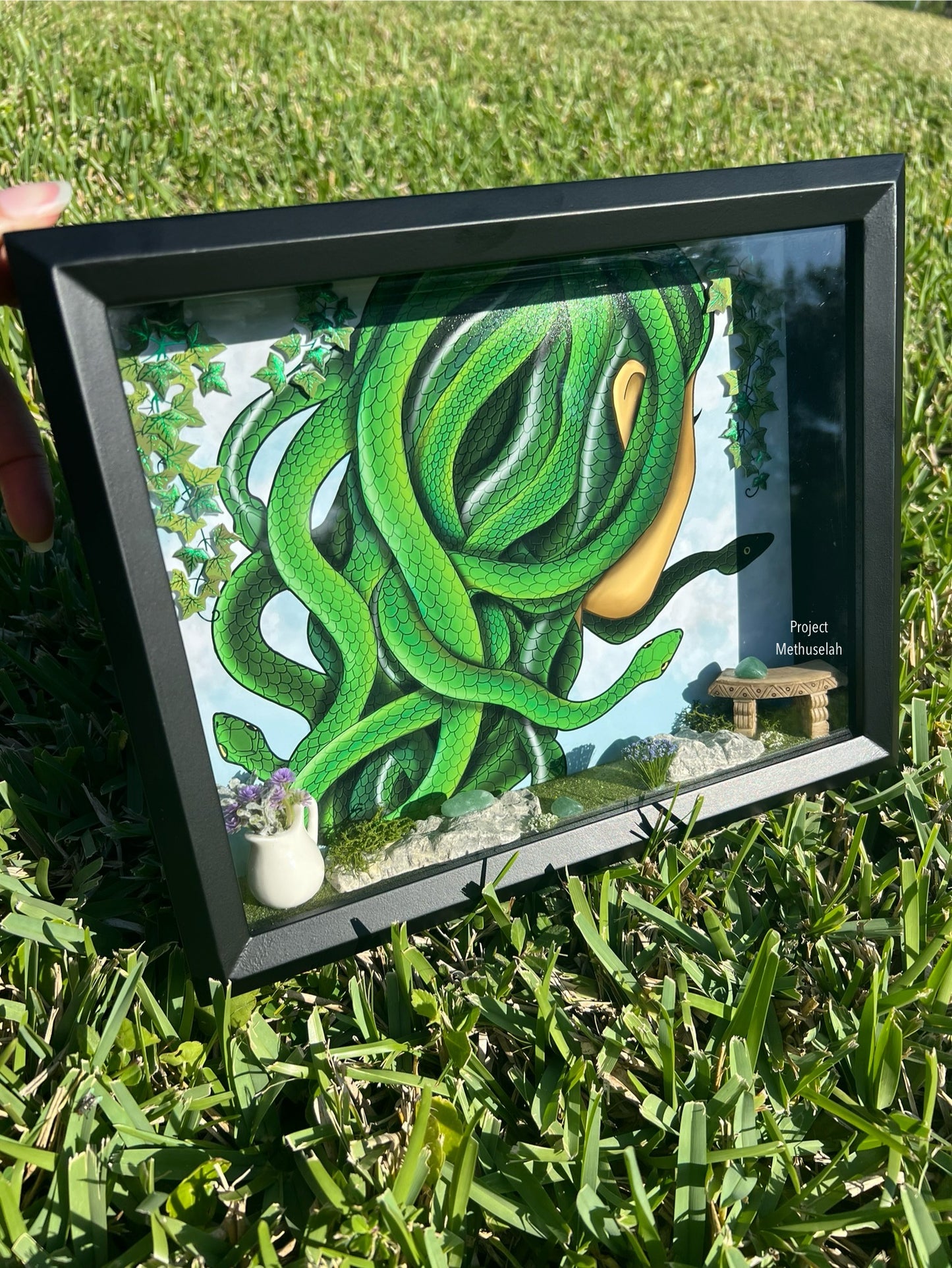 Medusa's Garden Shadow Box