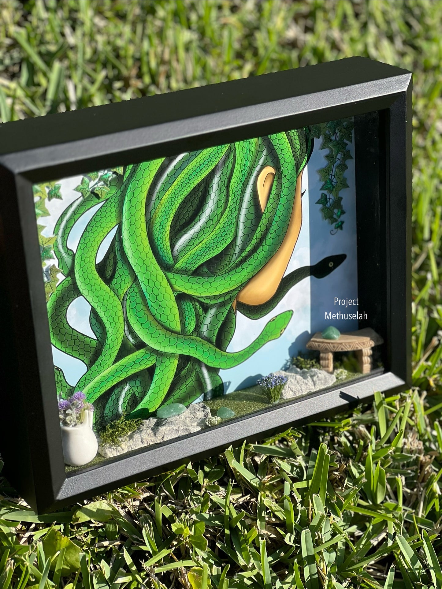 Medusa's Garden Shadow Box