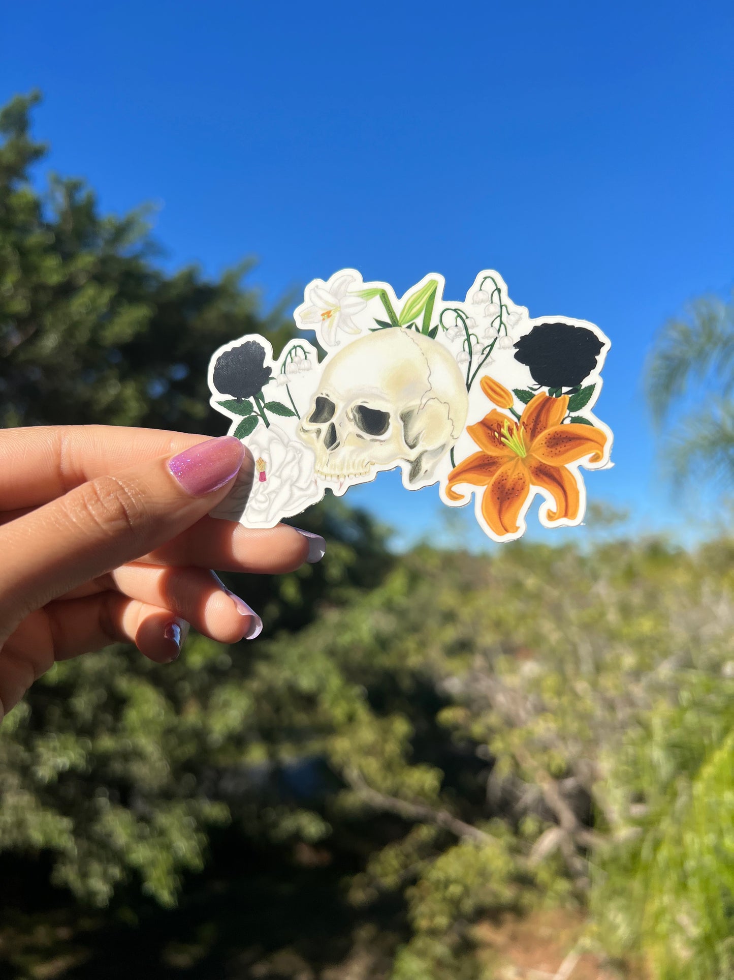 Bones and Beauty Sticker